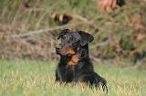 BEAUCERON 1014